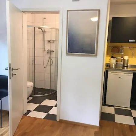 Einzimmerapartment Mit Kostenlosem Parkplatz 公寓 *