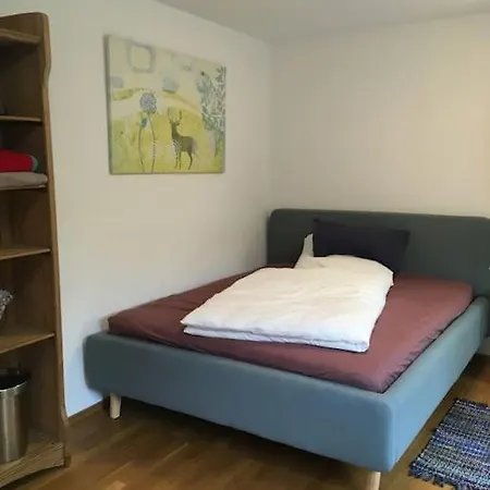 Einzimmerapartment Mit Kostenlosem Parkplatz