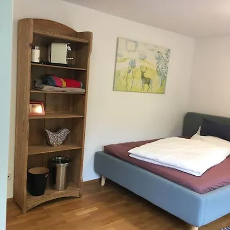 Einzimmerapartment Mit Kostenlosem Parkplatz 公寓 *